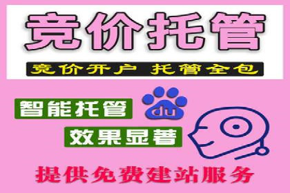 竞价SEM案例分享：快速提高网站流量技巧